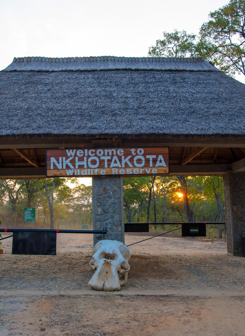 Nkhotakota Wildlife Reserve