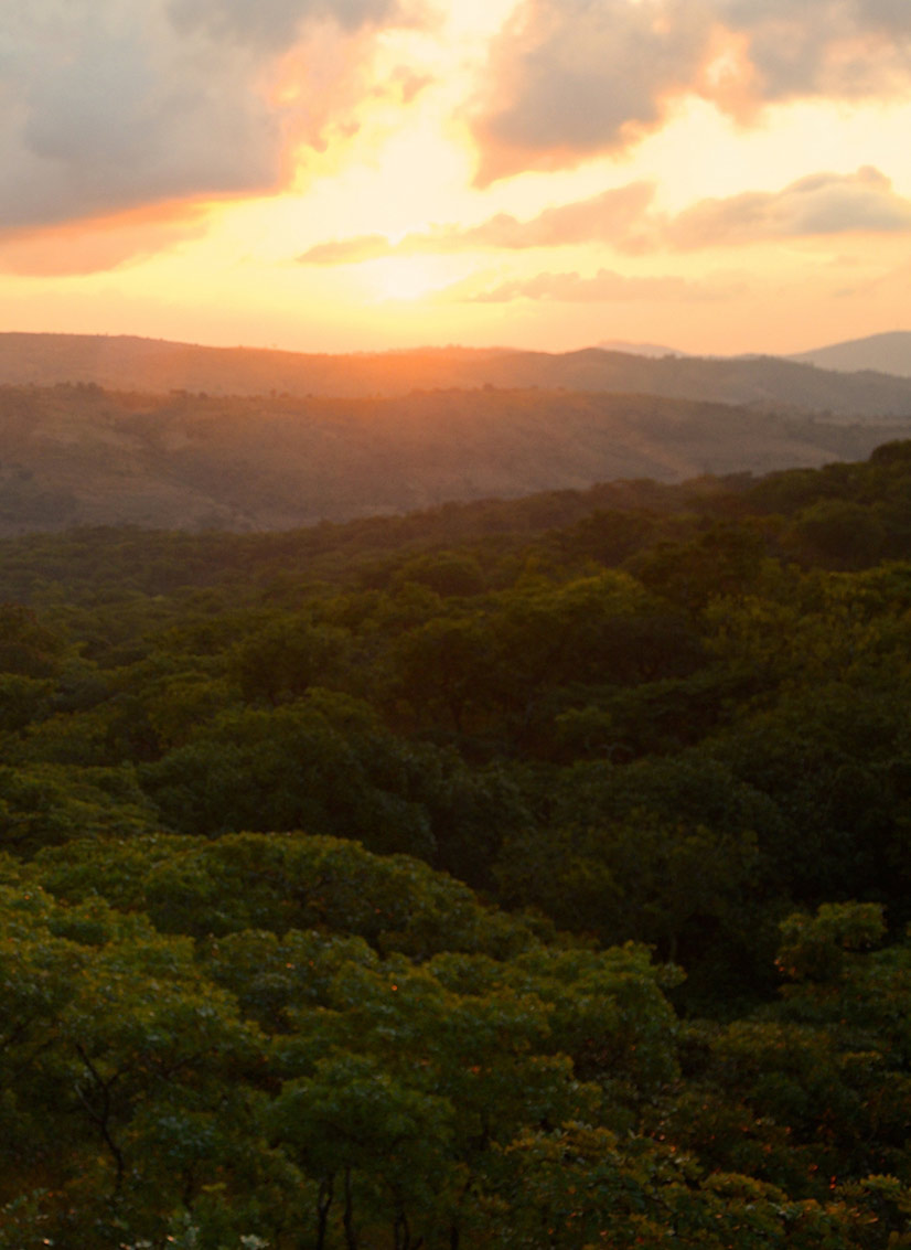 Ntchisi Forest Reserve