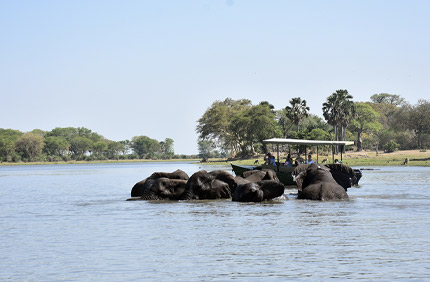 Liwonde National Park