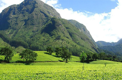 Mulanje Mountain