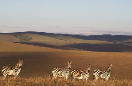 Northern Malawi