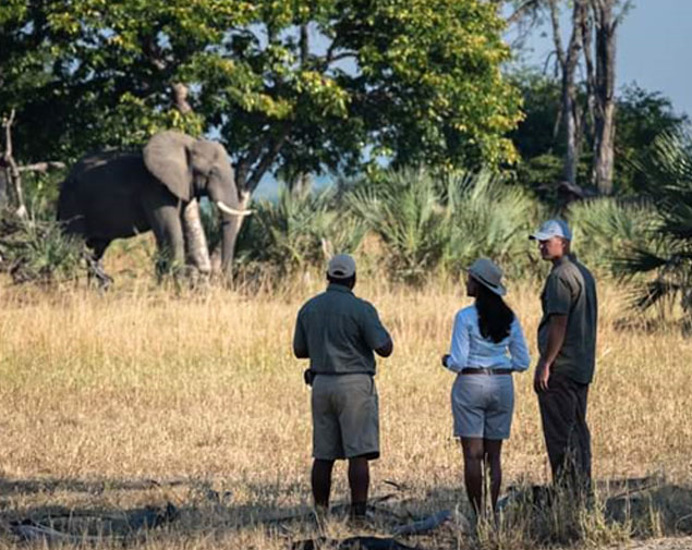 CENTRAL AND SOUTHERN MALAWI UNCOVERED