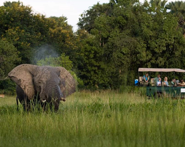 SOUTHERN MALAWI UNCOVERED