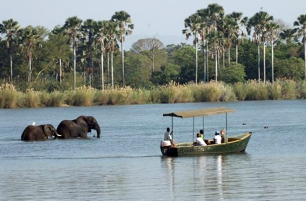 Day 6 - 8 | Mvuu Camp | Liwonde National Park