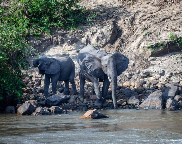 Southern & Central Malawi Uncovered