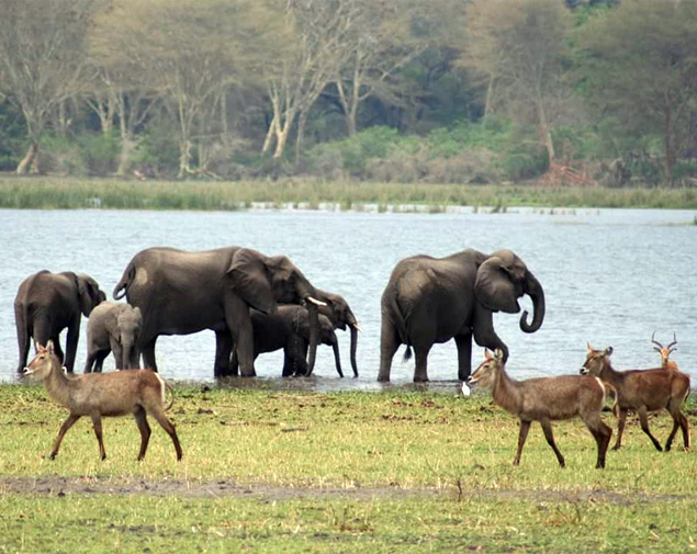 Southern Malawi Uncovered 