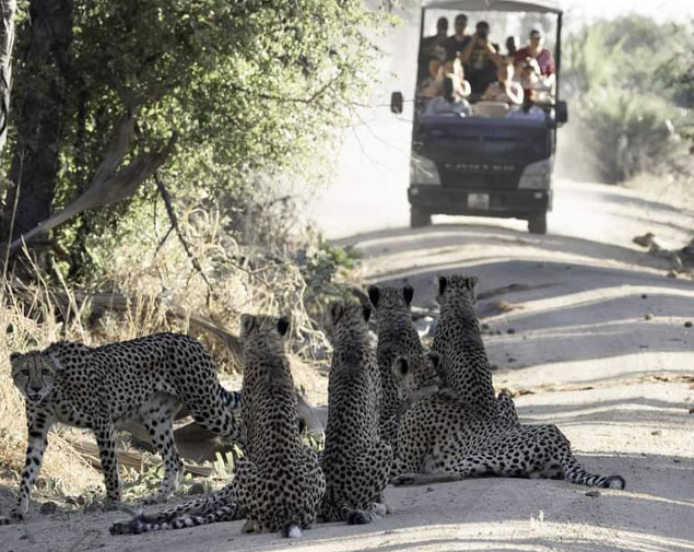 Northern Malawi Uncovered 