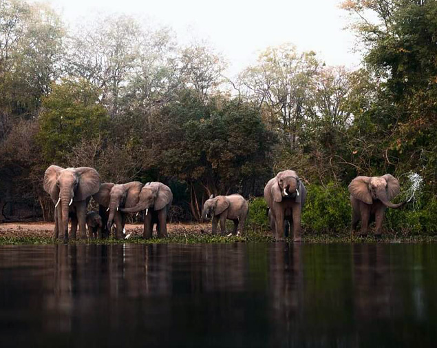 Southern Malawi Uncovered  