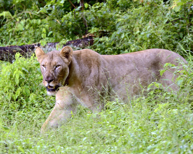 Southern Malawi Uncovered 