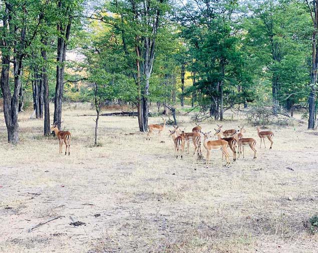 Southern & Central Malawi Uncovered