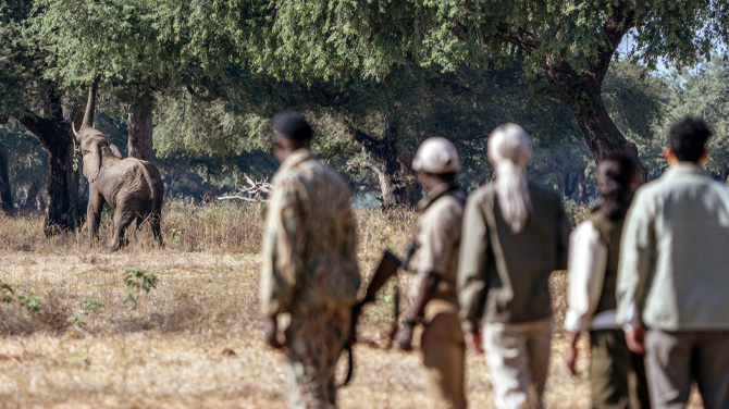 Lower Zambezi National Park