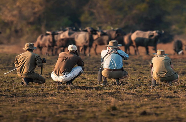Mvuu Camp | Liwonde National Park