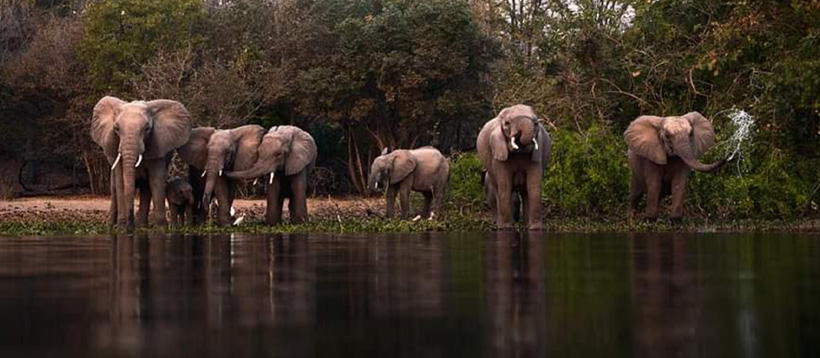 Southern Malawi Uncovered