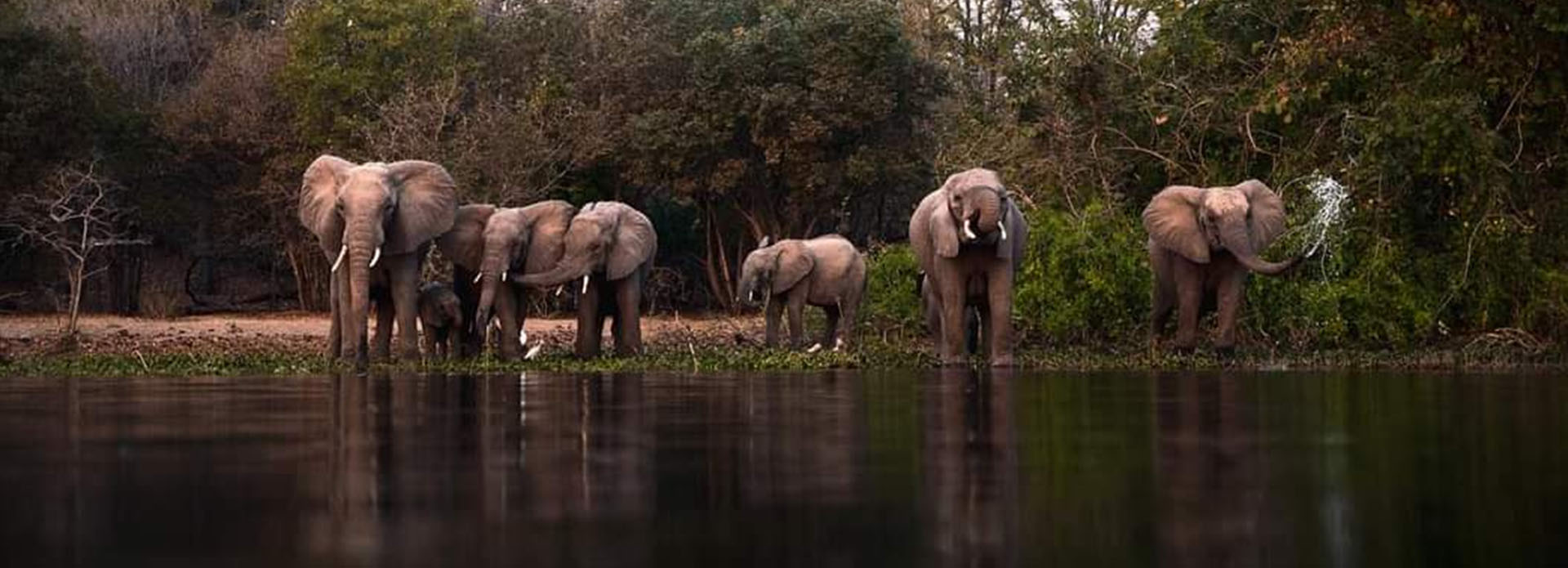 Malawi And Zambia Adventure