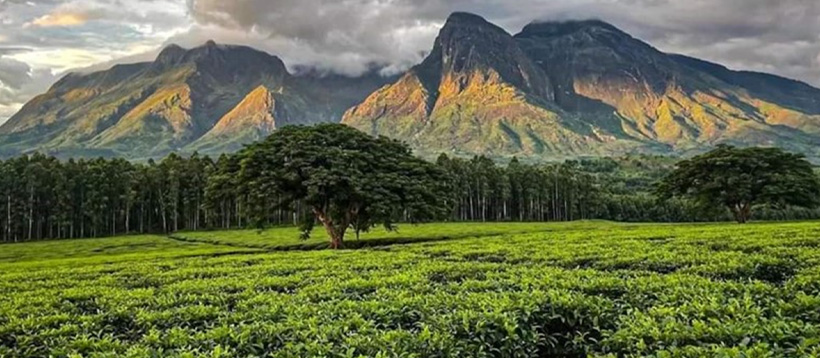 Southern & Central Malawi Experience