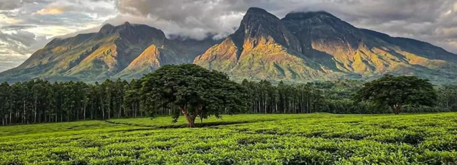 Hiking & Wildlife Experience