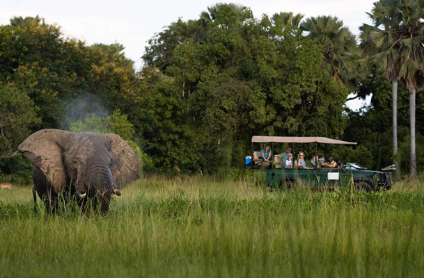 Mvuu Camp | Liwonde National Park
