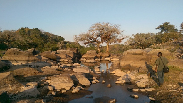 Nkhotakota Wildlife Reserve