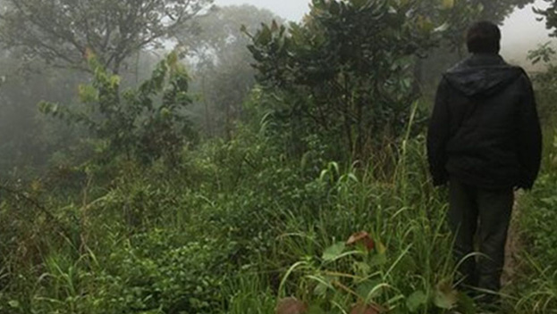Ntchisi Forest Lodge