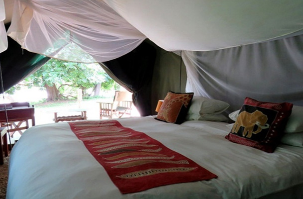 Croc Valley Camp