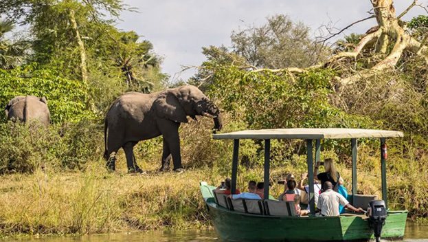 Mvuu Lodge