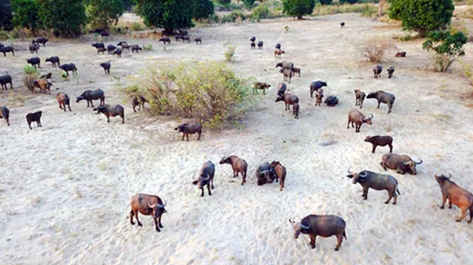 Kanyemba Lodge