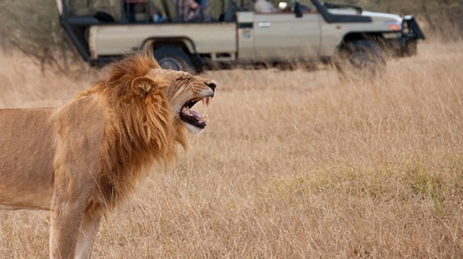 Kiambi Safari Lodge