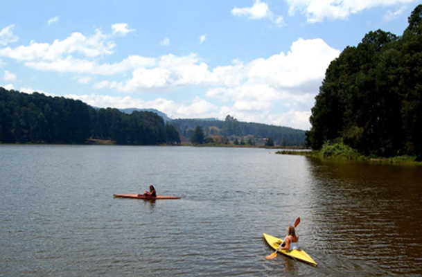 Luwawa Forest Lodge 