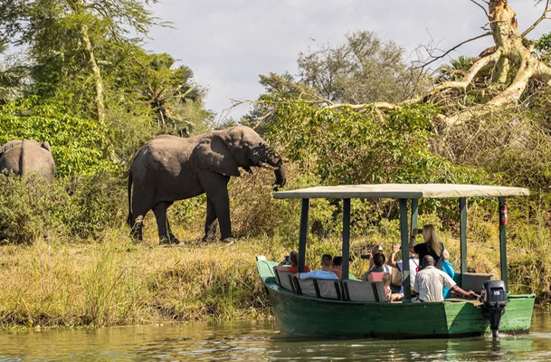 Mvuu Lodge | Liwonde National Park