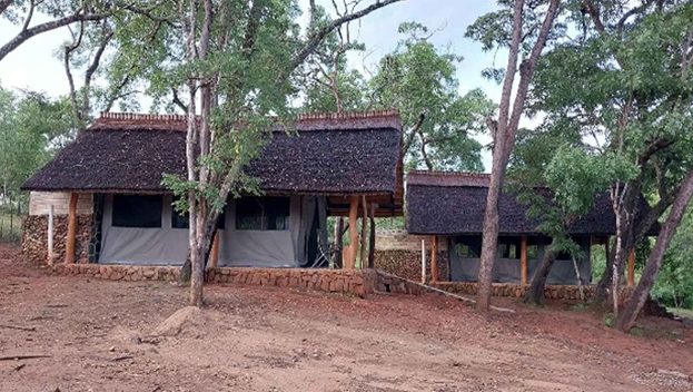 Livezi Bush Camp