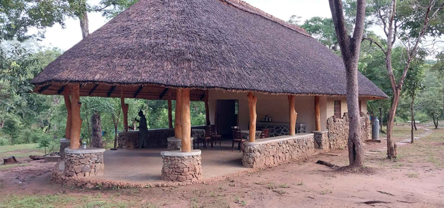 Livezi Bush Camp