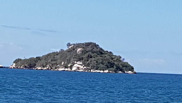 Namalenje (Bird Island)