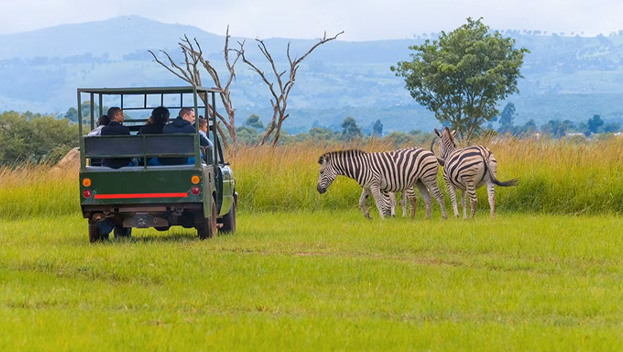 Game Haven Lodge