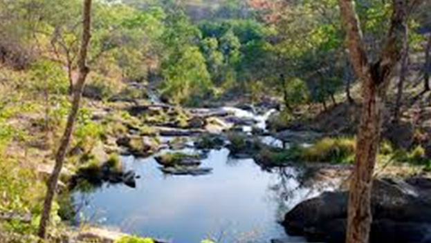Visit Dzalanyama Forest Reserve 