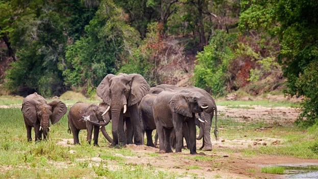 Nkhotakota Wildlife Reserve