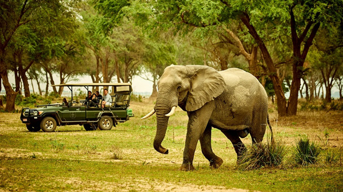 Zambezi Grande