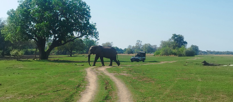 Malawi & Zambia Adventure