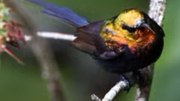 Northern Malawi