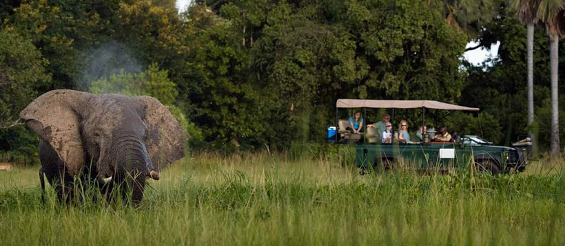 Southern & Central Malawi Experience