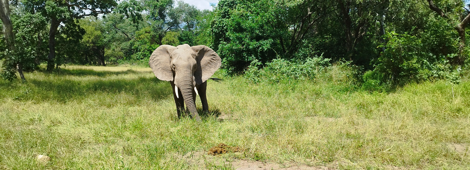 Southern Malawi Adventure Experience - Midrange