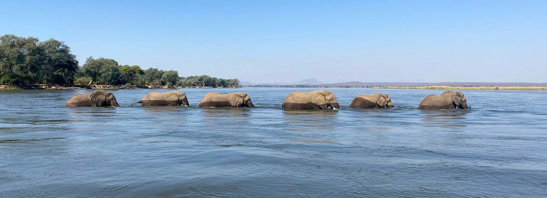 Lower Zambezi National Park