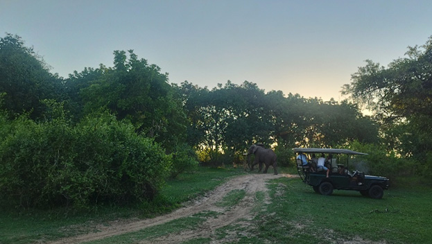 Mfuwe Lodge