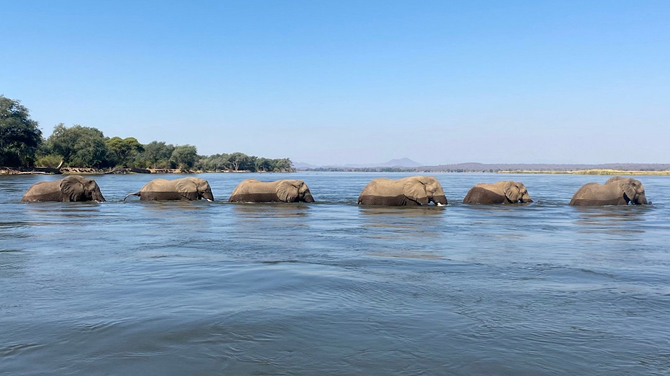 Lower Zambezi National Park